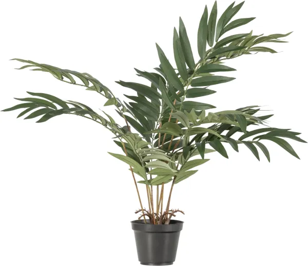 Kwai, Kunstig plante, grønn, H68x50x51 cm